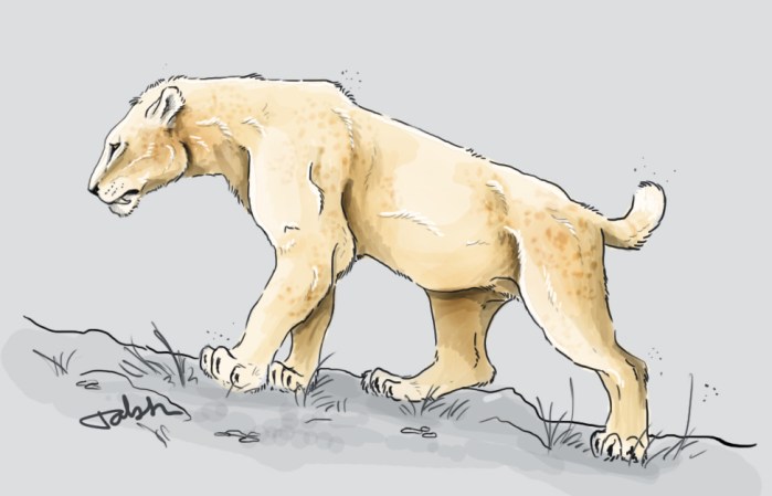 Homotherium latidens.