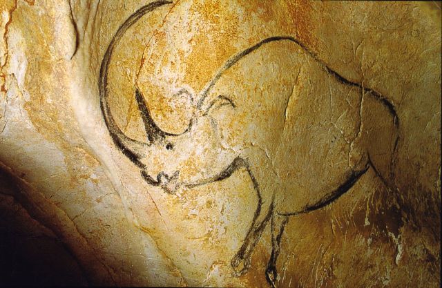 A painting of a woolly rhinoceros from Chauvet Cave, France. (Image from here)