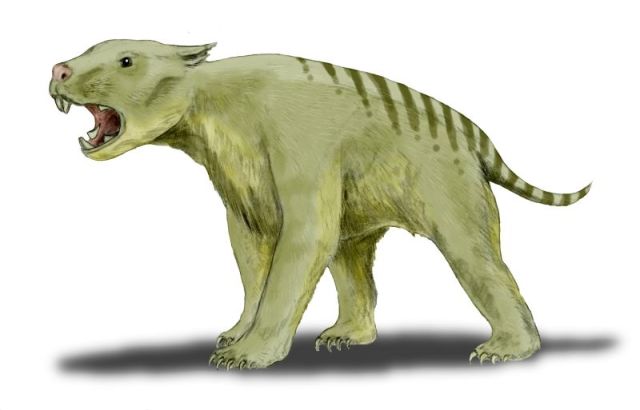 Reconstruction of Thylacoleo by Nobu Tamura via Wikimedia Commons