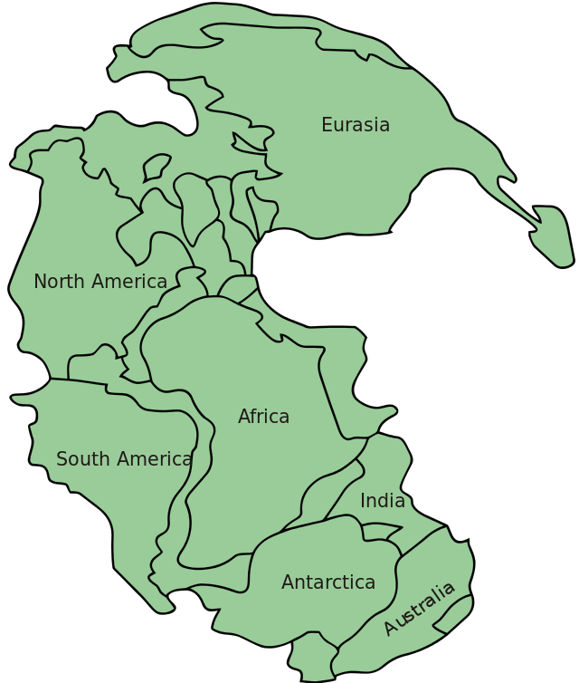 Almost all the current continents in one place. The supercontinent, Pangea. (Image from here)