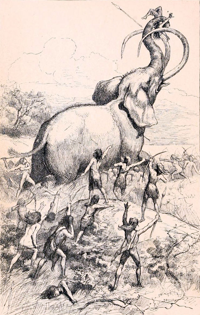 "A Mammoth Hunt" by J. Steeple Davis - https://archive.org/stream/childrensstories01wrig#page/n9/mode/2up. Licensed under Public Domain via Wikimedia Commons - http://commons.wikimedia.org/wiki/File:A_Mammoth_Hunt.jpg#/media/File:A_Mammoth_Hunt.jpg