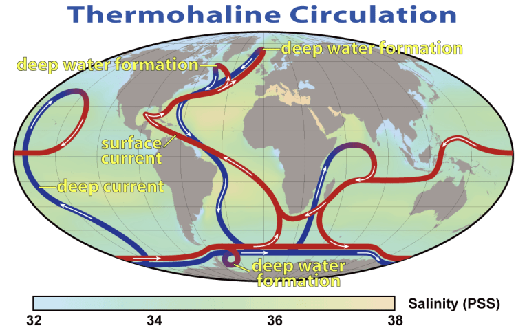 Unseen by us are warm and cold currents traveling around the planet in the oceans. (Image by "Thermohaline Circulation 2" by Robert Simmon, NASA. Minor modifications by Robert A. Rohde also released to the public domain - NASA Earth Observatory. Licensed under Public Domain via Wikimedia Commons - https://commons.wikimedia.org/wiki/File:Thermohaline_Circulation_2.png#/media/File:Thermohaline_Circulation_2.png