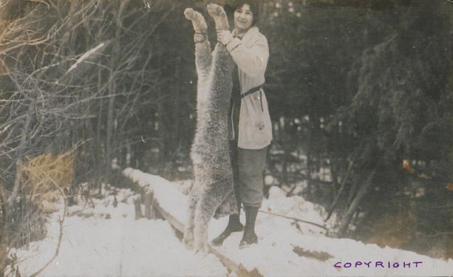 Lynx are big! This Canadian lynx is not even a record breaker. Public domain image.
