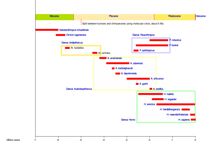 Meet the family. (Image Public Domain)