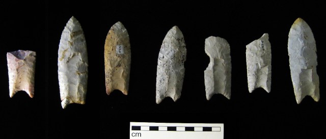 Clovis points from the Rummells-Maske Site, 13CD15, Cedar County, Iowa. Image by Bill Whttaker from Wikimedia Commons