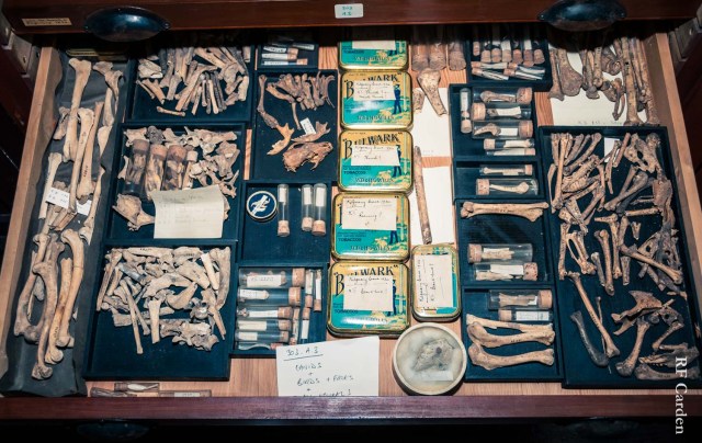 Little boxes.. of hidden treasure!