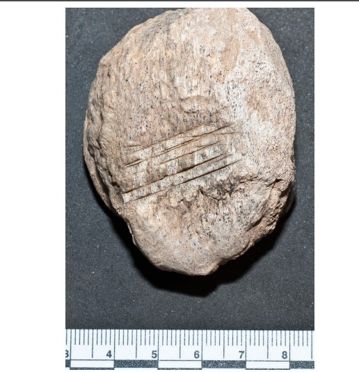 The cuts are clearly visible here