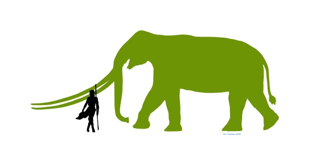 Meet Long Tusk. One of the largest land mammals, possibly boasting the largest tusks of any animal. Rey is dwarfed by it's size. (Image by Jan Freedman)
