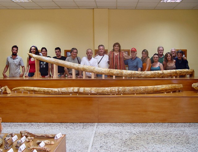 Two enormous tusks found in Greece