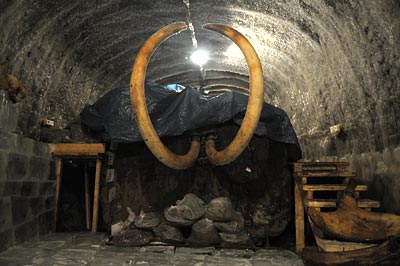 The Jarkov Mammoth, in its ice cavern, preserved for the future. Image from sentinelles.liberation.fr