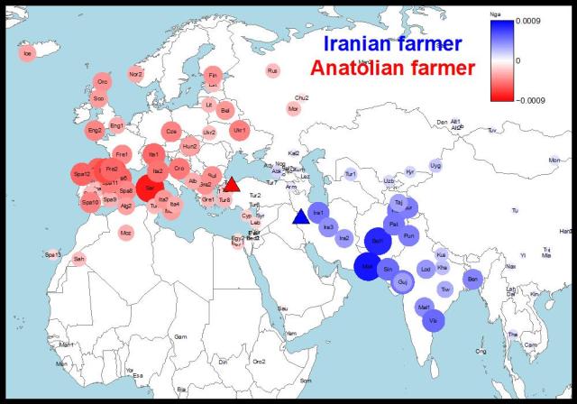 Ancient DNA from human remains in Iran (blue) and Anatolia (red) show very different genetic affinities to modern day populations suggesting multiple origins for farming and evidence of an eastwards expansion (adapted from Broushaki et al. 2016).