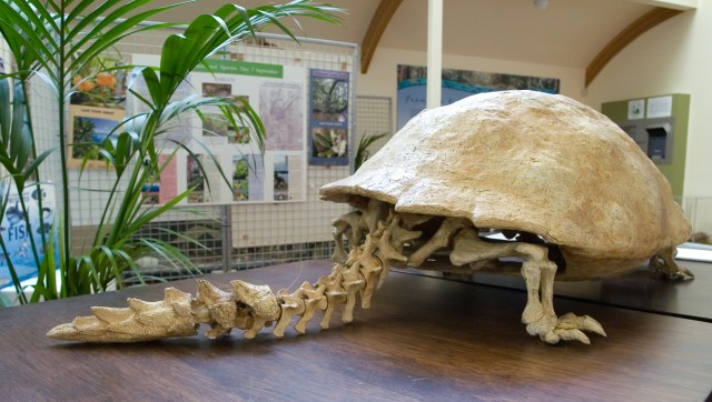 KONICA MINOLTA DIGITAL CAMERA