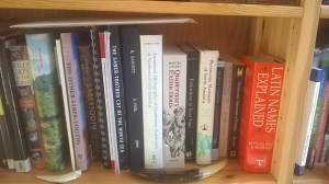 wp_20161118_11_00_44_pro