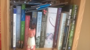 wp_20161118_11_00_50_pro