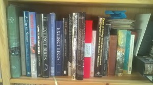 wp_20161118_11_01_09_pro