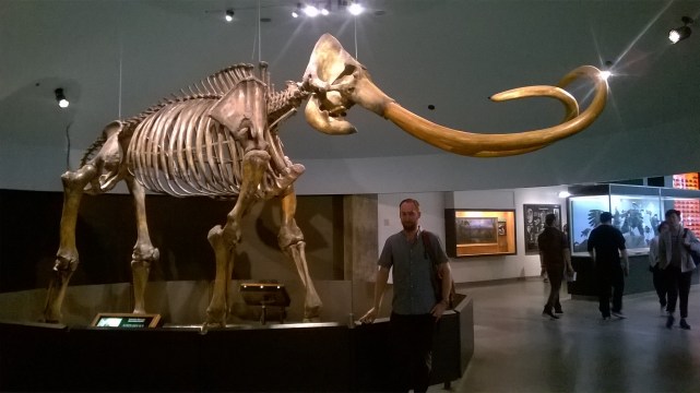 The enormous Columbian Mammoth on display at La Brea, pulls the visitors away from other displays. Author for scale. (Image, authors own.)
