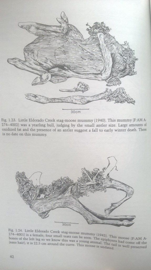 wp_20170303_14_20_27_pro